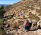 pueblos indigenas