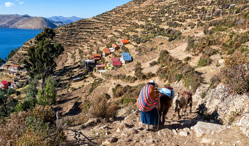 pueblos indigenas